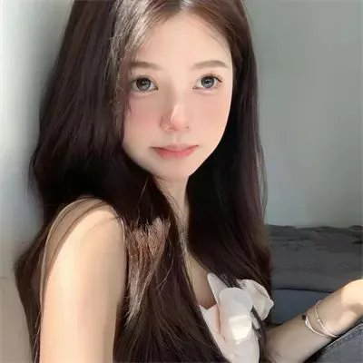 人体谬误 封面