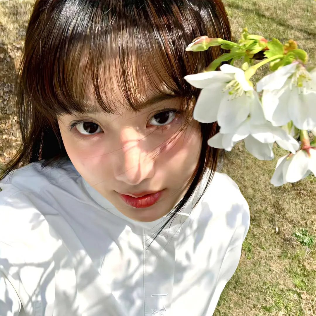 龙沐香 封面