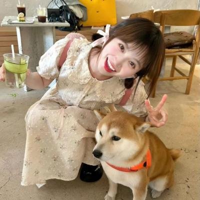 京北的我们 封面